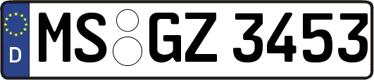 MS-GZ3453