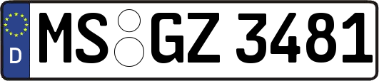 MS-GZ3481