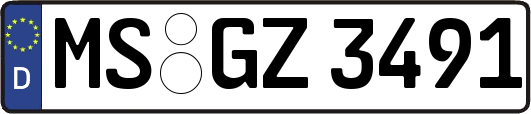 MS-GZ3491