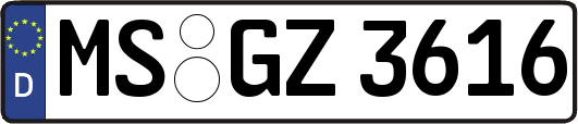 MS-GZ3616