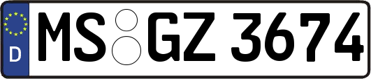 MS-GZ3674
