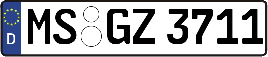 MS-GZ3711