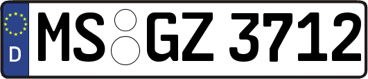 MS-GZ3712