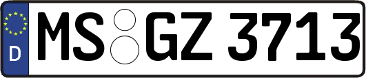 MS-GZ3713