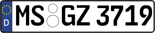 MS-GZ3719