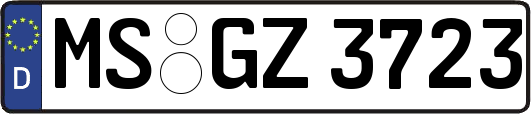 MS-GZ3723