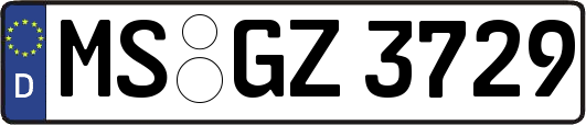 MS-GZ3729