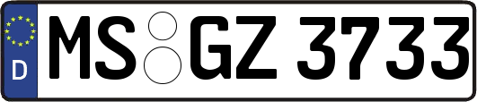 MS-GZ3733