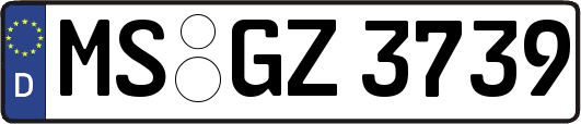 MS-GZ3739