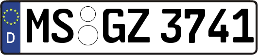 MS-GZ3741