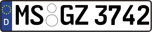 MS-GZ3742