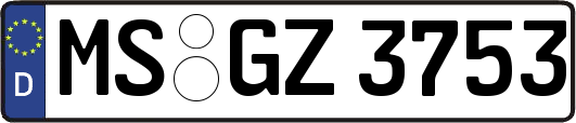 MS-GZ3753