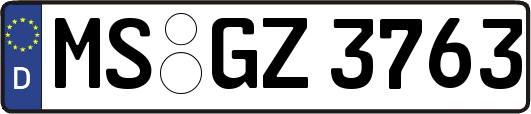 MS-GZ3763