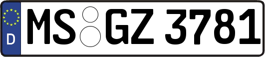 MS-GZ3781