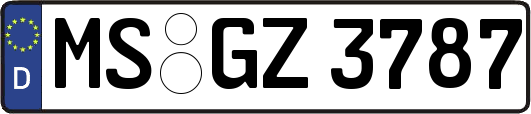 MS-GZ3787