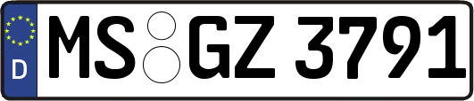 MS-GZ3791