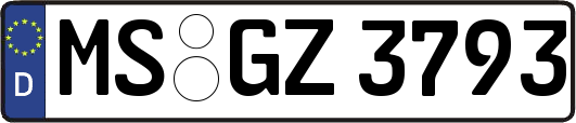 MS-GZ3793