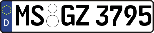 MS-GZ3795