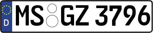 MS-GZ3796