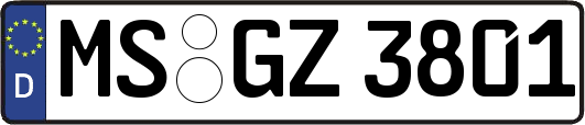 MS-GZ3801