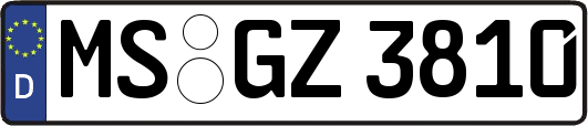 MS-GZ3810