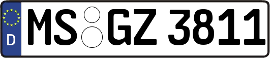 MS-GZ3811
