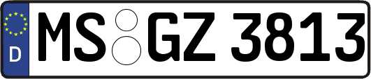 MS-GZ3813