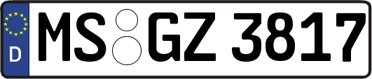 MS-GZ3817