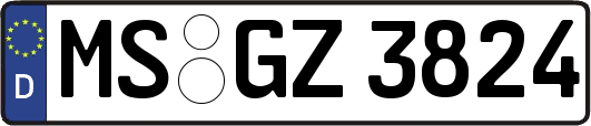 MS-GZ3824