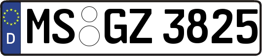 MS-GZ3825
