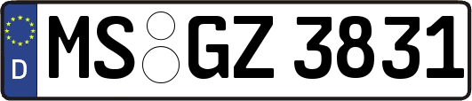MS-GZ3831