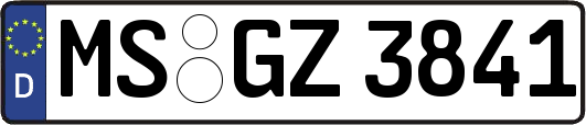 MS-GZ3841