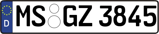 MS-GZ3845