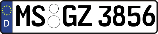 MS-GZ3856