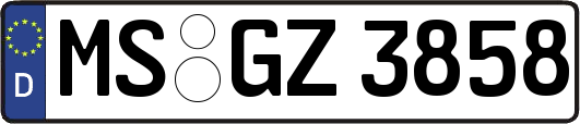 MS-GZ3858