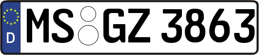 MS-GZ3863