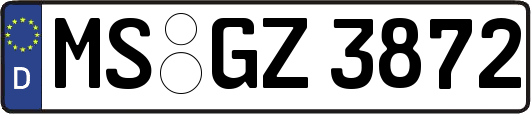 MS-GZ3872