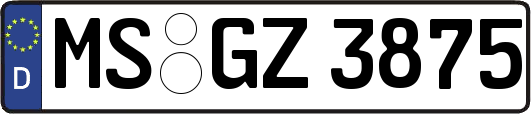MS-GZ3875