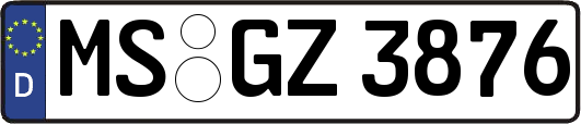 MS-GZ3876