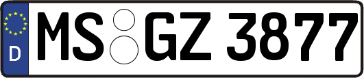 MS-GZ3877