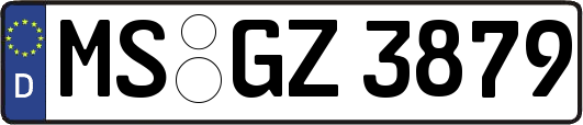 MS-GZ3879
