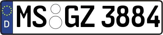 MS-GZ3884