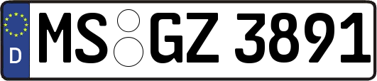 MS-GZ3891