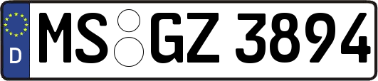 MS-GZ3894