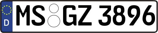 MS-GZ3896