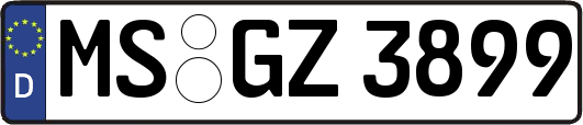 MS-GZ3899