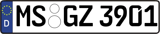 MS-GZ3901