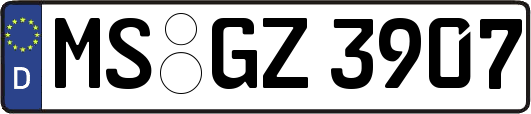 MS-GZ3907