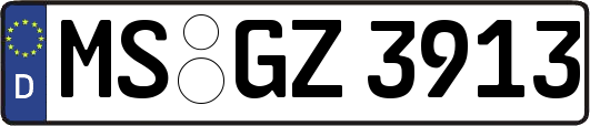 MS-GZ3913