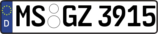 MS-GZ3915